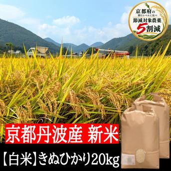 きぬひかり【白米】 20kg 新米 令和8年産 京都府京丹波町産 農薬5割減