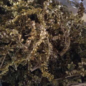 乾燥セイタカアワダチソウ ｜ お茶/その他のお茶 産直アウル 農家