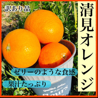 【アウルの日】減農薬　清見オレンジ　2キロ　サイズ混合　有田　和歌山県　訳あり　産地直送 2kg 果物/オレンジ・その他みかん通販