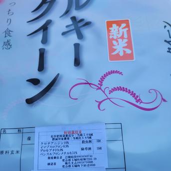 5kg精白米ミルキークィーン 5kg 米・穀物/米/精米通販