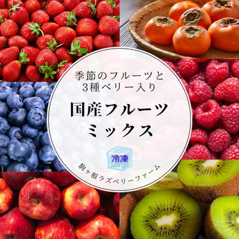 いちごたっぷり 冷凍3種のベリーと季節のフルーツミックス100g×10袋