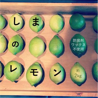 瀬戸内・因島】しまのレモン（家庭用）お試しサイズ | 果物/香酸柑橘