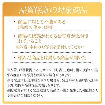 選果落ち 訳あり商品 熊本県産 国産 生 青唐辛子 約500g 枝あり 枝なし