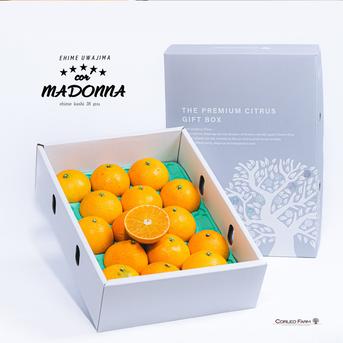 【美品】ゼオン　7枚セット □GIFT□プルップルのゼリー食感【EHIME UWAJIMA〈コル'マドンナ