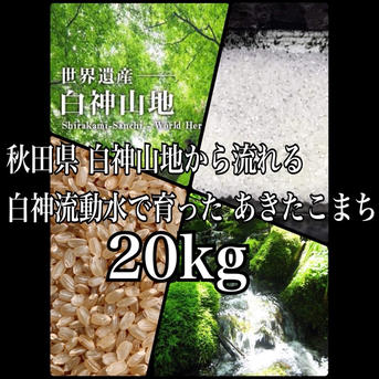 新米 農家直送 秋田県産あきたこまち【白希】20kg 玄米 白米 無洗米