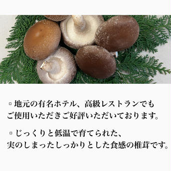 「ボウ」肉厚MLサイズ20個 500g前後 野菜/きのこ通販