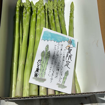アスパラガス 初夏のアスパラガス 20〜25本 ｜ 野菜/アスパラガス 産直アウル 農家