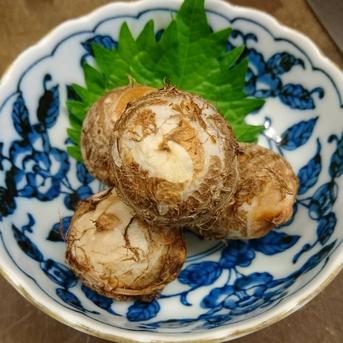 ねっとり味の濃い里芋 1箱2kg 野菜/里いも通販