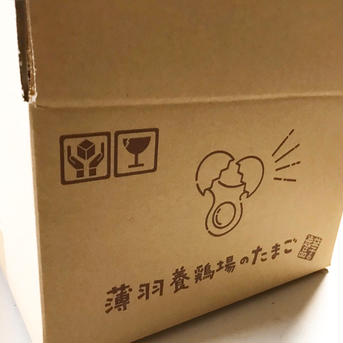 【アウルの日】 【クール便】枯草菌・40個：オレンジ色が鮮やか🎵濃厚な黄身🍳、枯草菌育ちの赤たまご 40個 40個（10個入り紙パックで4つ） 卵/鶏卵通販