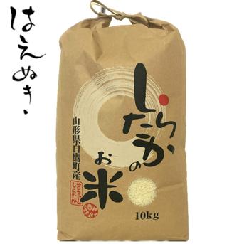 令和4年産はえぬき白米10㎏ 10kg 米・穀物/米/精米通販