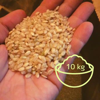 野菜の肥やしで育った玄米10㎏ 福岡県産 夢つくし 玄米10㎏  米・穀物/玄米通販