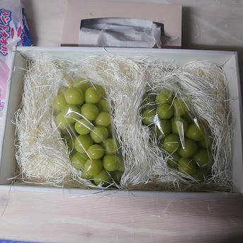 専用」シャインマスカット10kg 2箱セット房入り 訳あり シャイン