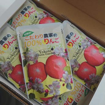 「果汁100％ふじりんごジュース！」20パック【秋田県産】 りんごジュース180ml×20パック 加工品/その他加工品通販