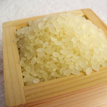 ゆうだい21(2kg)　【令和6年産】【特別栽培米】 2kg 米・穀物/米/精米通販