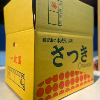 木成り八朔 10キロ（箱込み） ギフトにも！ はっさく さつき八朔
