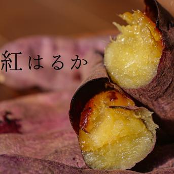 送料込み!! 追熟 紅はるか さつまいも 栽培期間中農薬不使用 宮崎県産約2㎏ SS〜Mサイズ 約2㎏ SS〜Mサイズ 野菜/さつまいも通販