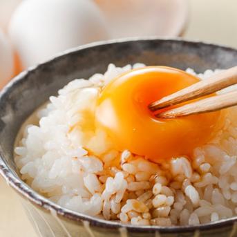 新潟県産　つきあかり  白米  5kg  5キロ令和6年産　お米　  (送料込み) 5kg×1 米・穀物/米/精米通販
