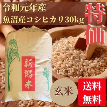 特別価格！　【元年産　魚沼産コシヒカリ】　玄米　30kg　二等米　【数量限定】 30kg 米・穀物/玄米通販