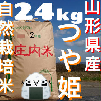 自然栽培 お米の旨味たっぷり氷温熟成 つや姫 令和2年産 山形県産 庄内産 庄内米 玄米 24kg 24kg 米・穀物/玄米通販