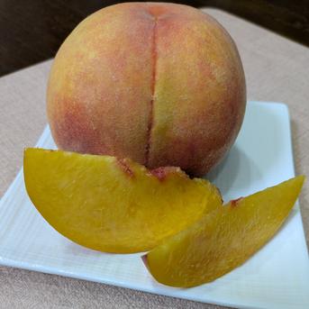 川中島白桃🍑完熟黄金桃セット【数量限定】8玉 ｜ 果物/もも 産直