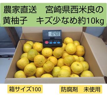 農家直送 宮崎県西米良の黄柚子 キズ少なめ約10kg ｜ 果物/香酸柑橘 