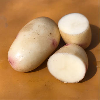 ジャガイモスタート✨13つの品種から農薬・化学肥料不使用のジャガイモ食べ比べセット♪ 2kg 野菜/じゃがいも通販