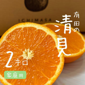一政園　【清見】2キロ家庭用 2キロ家庭用 果物/オレンジ・その他みかん通販
