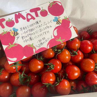 ハチさん🐝の交配したミニトマト２キロ ２キロ 野菜/トマト通販