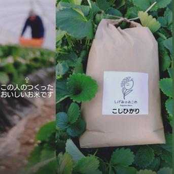 減農薬コシヒカリ 精米 10kg 送料込み 減農薬コシヒカリ10kg ｜ 米・穀物/米/精米 産直アウル 農家・漁師など