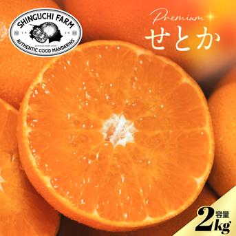 柑奈さま専用 みかん ゆら早生みかん ゆらっ子 約5kg S～Mサイズ 和歌山県産