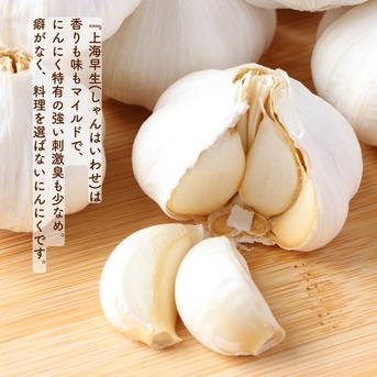 マイルドな香りと味わい♪三重県産にんにく『上海早生(しゃんはいわせ)』(S～Mサイズ・約1.8㎏) 1.8㎏ 野菜/にんにく通販