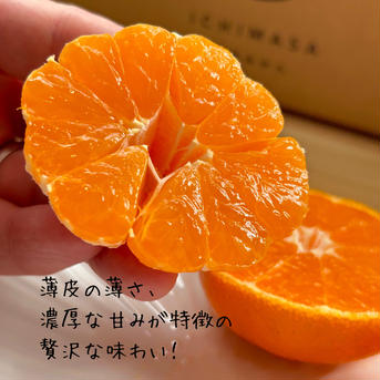 【超完熟宮川早生】屋根かけ越冬みかん　5キロ2Lサイズ　ギフトにも　有田みかん　早生みかん 5キロ2L 果物/温州みかん通販