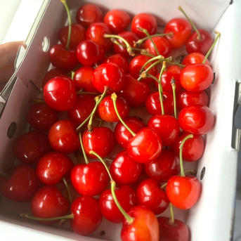さくらんぼ 紅秀峰 (1kg) 7月上旬から発送予定 ｜ 果物/さくらんぼ