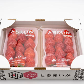 とちあいか平パック Aサイズ2箱4パック ｜ 果物/いちご 産直アウル