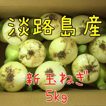 カツラギ農園の淡路島玉ねぎ（新玉ねぎ5kg） 約5kg  野菜/玉ねぎ通販