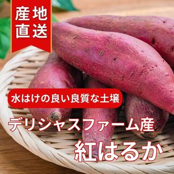 熟成芋紅はるか 3kg（土付き） ｜ 野菜/さつまいも 産直アウル 農家