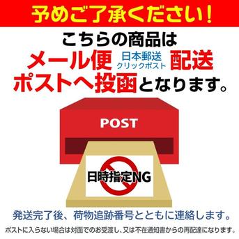 見つけたらラッキー！大特価!】祖父江産 銀杏〈藤九郎〉中玉2Lサイズ