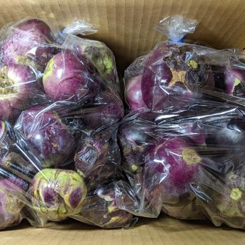 薄皮丸ナス3L 4kg 野菜/茄子通販