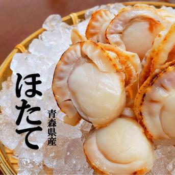 【旨味たっぷり】プリプリ！栄養満点ボイルほたて（冷凍） １ｋｇ 魚介類/ホタテ通販