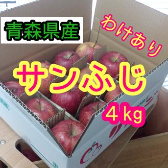 【数量限定】訳ありサンふじ　4kg　青森県産　ご家庭用　クリスマス 約４kg (12個) 果物/りんご通販