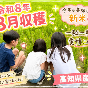 令和8年8月収穫！！高知県産コシヒカリ玄米30kg ｜ 米・穀物/玄米 産直