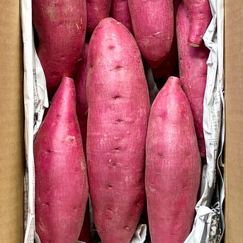 新芋】サラサラと口で溶けるホクホク系‼︎新品種「ゆきこまち」 3キロ