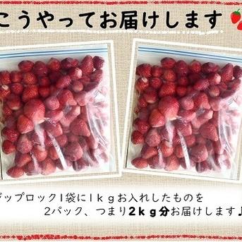 【希少あまりん】冷凍いちご２Kg🍓 １Kg×２袋 果物/いちご通販