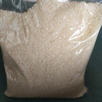 2026年産 無洗米コシヒカリ 20kg ｜ 米・穀物/米/精米 産直アウル 農家