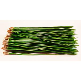松の葉　600ｇ 600ｇ 花・植物/花・植物通販