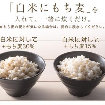 極のもちむぎ『福美197』精麦type　800g 送料込価格 800g 米・穀物/雑穀 通販