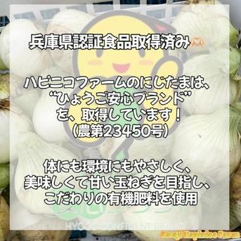 訳あり数量限定！淡路島産ブランド新玉ねぎ 『にじたま』極早生 5kg