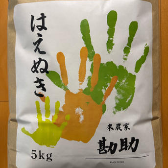 送料無料 令和7年度産米 はえぬき 精米 10キロ(5キロ2袋) ｜ 米・穀物