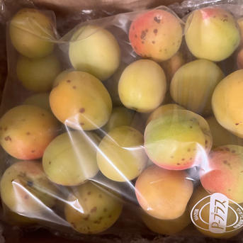 まじりっけなし！自然栽培の梅『十郎』3kg 梅干に最適！梅シロップ
