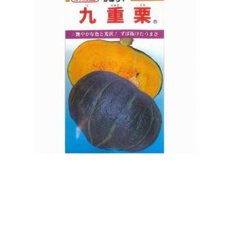 ☆九重栗☆福島産 栽培時無農薬かぼちゃ（1玉 約1kg～1.5kg程度） 10 